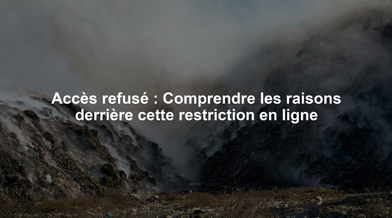 Accès refusé : Comprendre les raisons derrière cette restriction en ligne