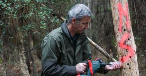 Landes : un ver ravageur inquiète les forestiers et menace les forêts locales