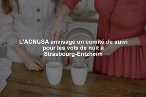 L'ACNUSA envisage un comité de suivi pour les vols de nuit à Strasbourg-Entzheim