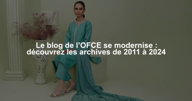 Le blog de l’OFCE se modernise : découvrez les archives de 2011 à 2024