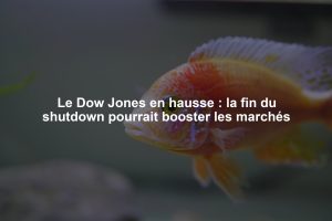 Le Dow Jones en hausse : la fin du shutdown pourrait booster les marchés