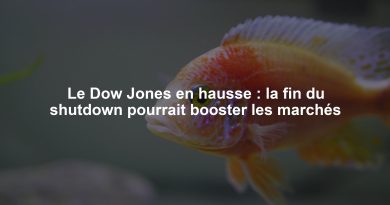 Le Dow Jones en hausse : la fin du shutdown pourrait booster les marchés