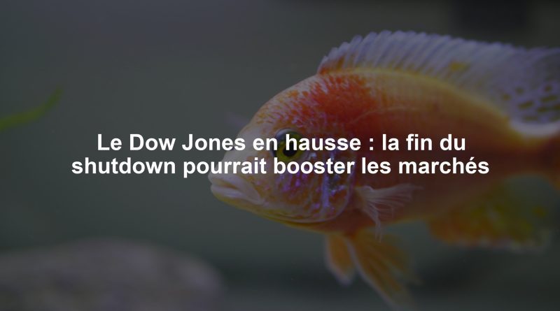 Le Dow Jones en hausse : la fin du shutdown pourrait booster les marchés