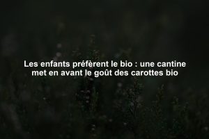 Les enfants préfèrent le bio : une cantine met en avant le goût des carottes bio