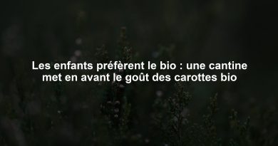 Les enfants préfèrent le bio : une cantine met en avant le goût des carottes bio