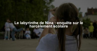 Le labyrinthe de Nina : enquête sur le harcèlement scolaire