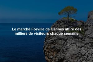 Le marché Forville de Cannes attire des milliers de visiteurs chaque semaine