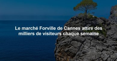 Le marché Forville de Cannes attire des milliers de visiteurs chaque semaine