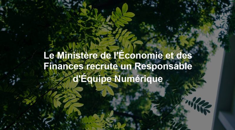 Le Ministère de l'Économie et des Finances recrute un Responsable d'Équipe Numérique