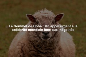 Le Sommet de Doha : Un appel urgent à la solidarité mondiale face aux inégalités