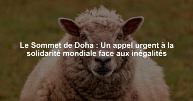 Le Sommet de Doha : Un appel urgent à la solidarité mondiale face aux inégalités