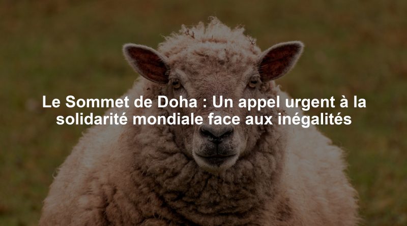 Le Sommet de Doha : Un appel urgent à la solidarité mondiale face aux inégalités