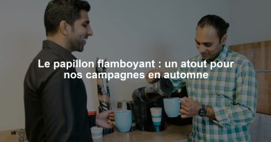 Le papillon flamboyant : un atout pour nos campagnes en automne