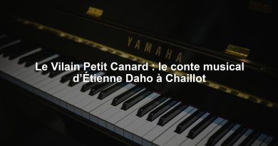 Le Vilain Petit Canard : le conte musical d’Étienne Daho à Chaillot