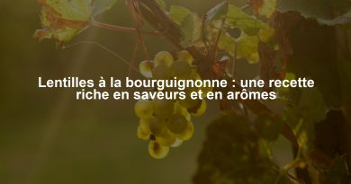Lentilles à la bourguignonne : une recette riche en saveurs et en arômes