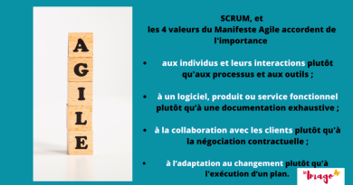 Maîtriser l'incertitude à l'ère de l'agilité : stratégies et pratiques essentielles