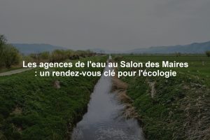 Les agences de l'eau au Salon des Maires : un rendez-vous clé pour l'écologie