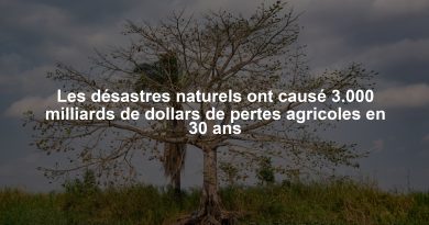 Les désastres naturels ont causé 3.000 milliards de dollars de pertes agricoles en 30 ans