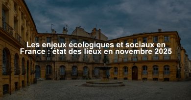 Les enjeux écologiques et sociaux en France : état des lieux en novembre 2025