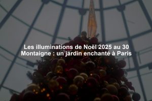 Les illuminations de Noël 2025 au 30 Montaigne : un jardin enchanté à Paris