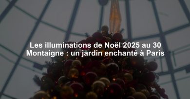 Les illuminations de Noël 2025 au 30 Montaigne : un jardin enchanté à Paris