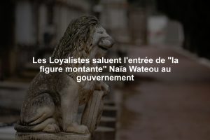 Les Loyalistes saluent l'entrée de "la figure montante" Naïa Wateou au gouvernement