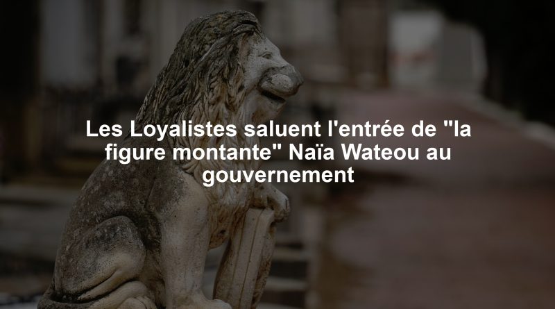 Les Loyalistes saluent l'entrée de "la figure montante" Naïa Wateou au gouvernement