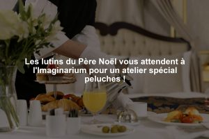 Les lutins du Père Noël vous attendent à l'Imaginarium pour un atelier spécial peluches !