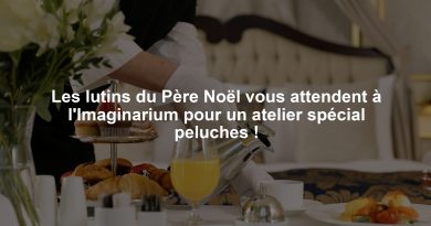 Les lutins du Père Noël vous attendent à l'Imaginarium pour un atelier spécial peluches !