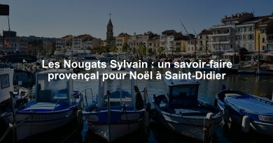 Les Nougats Sylvain : un savoir-faire provençal pour Noël à Saint-Didier