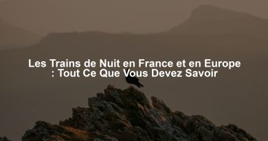 Les Trains de Nuit en France et en Europe : Tout Ce Que Vous Devez Savoir