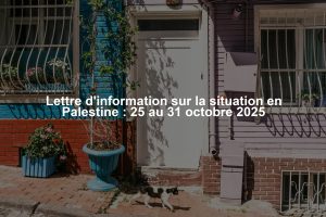 Lettre d'information sur la situation en Palestine : 25 au 31 octobre 2025