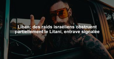Liban: des raids israéliens obstruent partiellement le Litani, entrave signalée