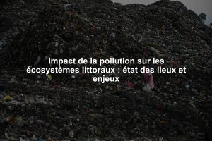 Impact de la pollution sur les écosystèmes littoraux : état des lieux et enjeux