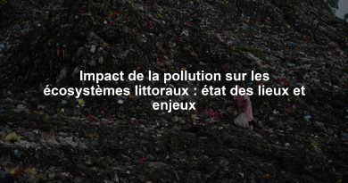 Impact de la pollution sur les écosystèmes littoraux : état des lieux et enjeux