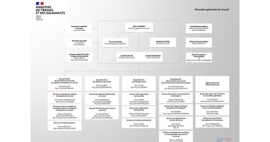 La Direction générale du travail (DGT) : Informations officielles sur le travail et l'emploi
