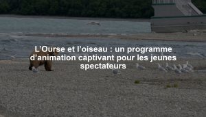L’Ourse et l’oiseau : un programme d’animation captivant pour les jeunes spectateurs