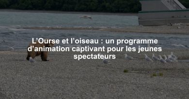 L’Ourse et l’oiseau : un programme d’animation captivant pour les jeunes spectateurs