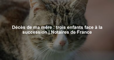 Décès de ma mère : trois enfants face à la succession | Notaires de France
