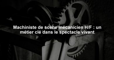 Machiniste de scène mécanicien H/F : un métier clé dans le spectacle vivant