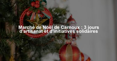 Marché de Noël de Carnoux : 3 jours d'artisanat et d'initiatives solidaires