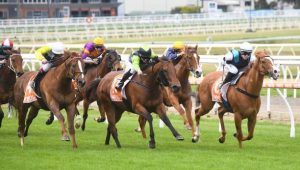 mardi 11 novembre Quinté à Toulouse à 15h15 Sélection d'Hervé Fortin - ICI