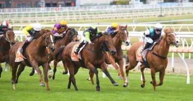 mardi 11 novembre Quinté à Toulouse à 15h15 Sélection d'Hervé Fortin - ICI