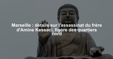 Marseille : détails sur l'assassinat du frère d'Amine Kessaci, figure des quartiers nord
