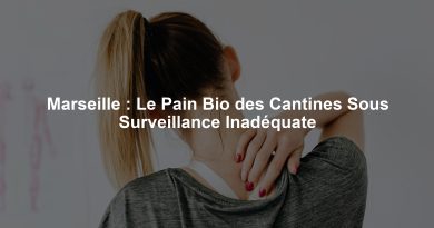 Marseille : Le Pain Bio des Cantines Sous Surveillance Inadéquate