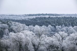 Neige et fortes gelées : prévisions météo pour la Lorraine cette semaine