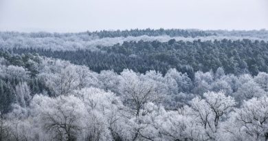 Neige et fortes gelées : prévisions météo pour la Lorraine cette semaine