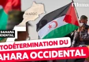Sahara occidental : le Front Polisario annonce sa disposition à négocier avec le Maroc