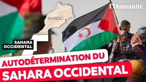 Sahara occidental : le Front Polisario annonce sa disposition à négocier avec le Maroc