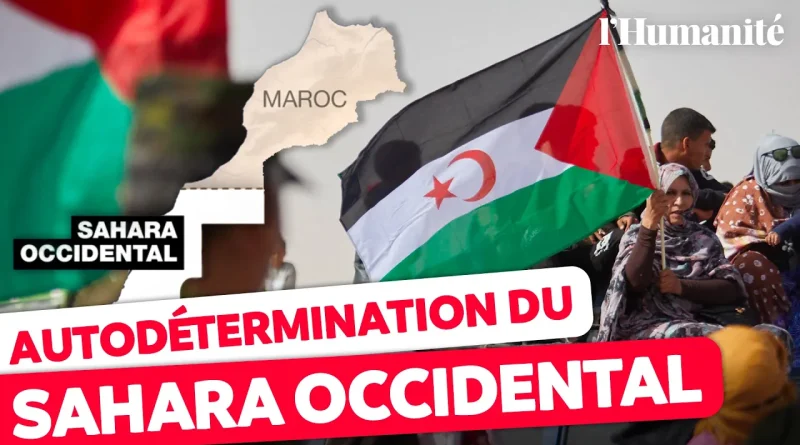 Sahara occidental : le Front Polisario annonce sa disposition à négocier avec le Maroc